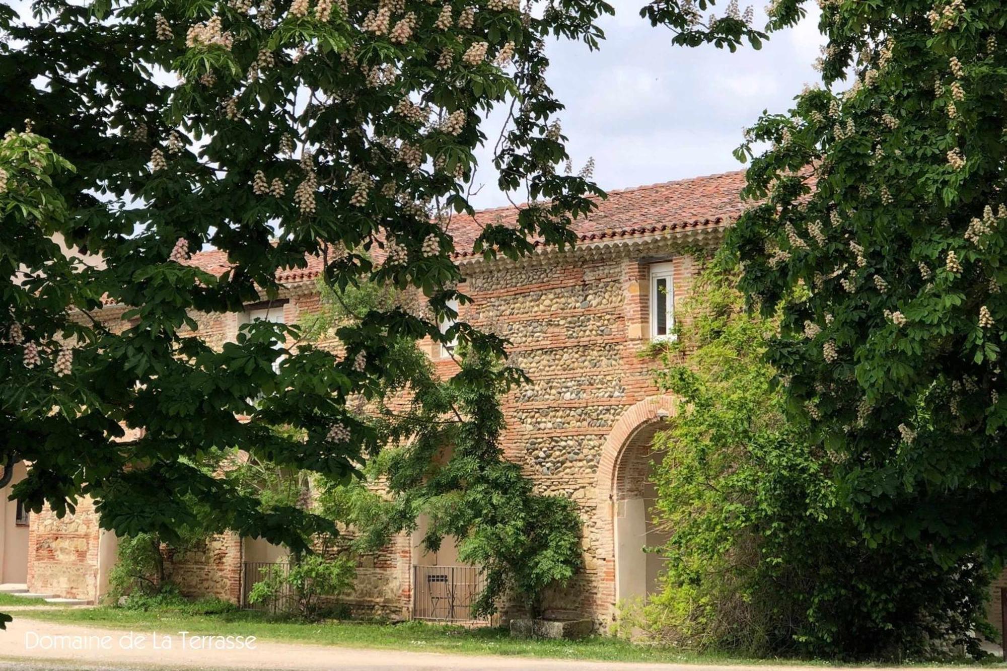 Domaine De La Terrasse Lejlighed Carbonne Eksteriør billede
