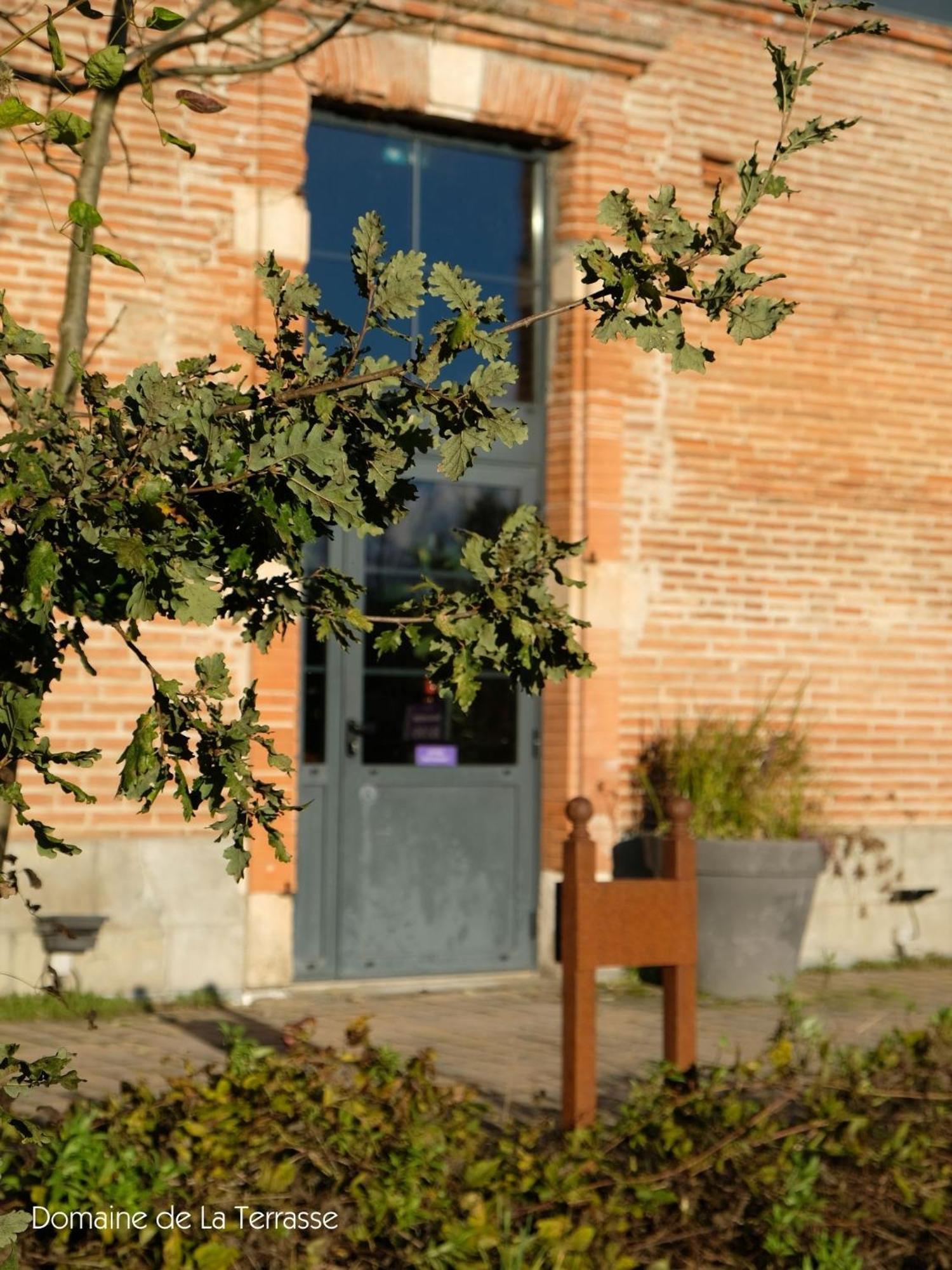 Domaine De La Terrasse Lejlighed Carbonne Eksteriør billede
